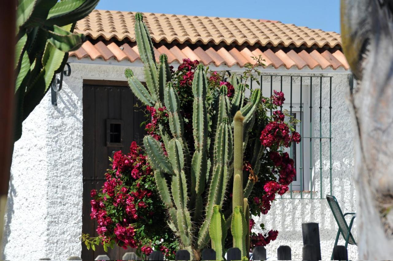 Appartement Cortijo Flamingos à Chiclana de la Frontera Extérieur photo